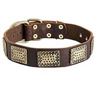 Leather Riesenschnauzer Collar with Massive Brass Plates