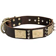 Designer War-Style Leather Riesenschnauzer Collar with Spikes and Plates