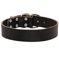 Wide Leather Riesenschnauzer Collar for Training and Walking