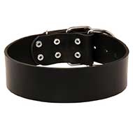 Extra Wide Leather Riesenschnauzer Collar for Professional Training