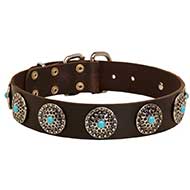 Leather Riesenschnauzer Collar with Blue Stones for Stylish Walking