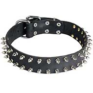 Leather Riesenschnauzer Collar with 2 Rows of Nickel Spikes