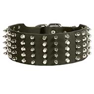 Riesenschnauzer Leather Collar Spiked and Studded