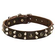 Leather Riesenschnauzer Collar With Studs and Pyramids