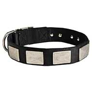 Nylon Riesenschnauzer Collar Massive Nickel Plates