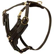 Padded Leather Riesenschnauzer Harness for Agitation Training