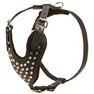 Adjustable Leather Riesenschnauzer Harness Studded for Fashion Walking