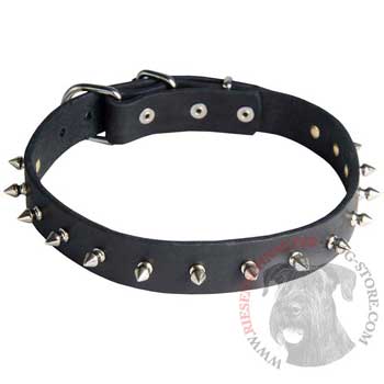 Riesenschnauzer Dog Leather Collar Steel Nickel Plates Spikes