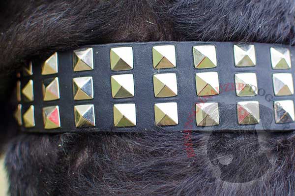 Proportional steel nickel-plated studs - gorgeous decoration of leather dog collar