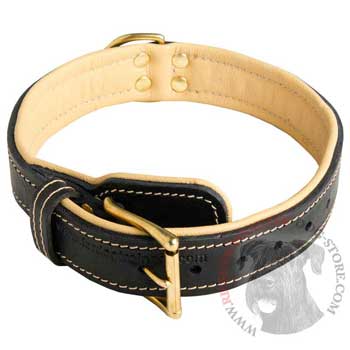 Riesenschnauzer Collar Padded Adjustable for Dog Walking, Training