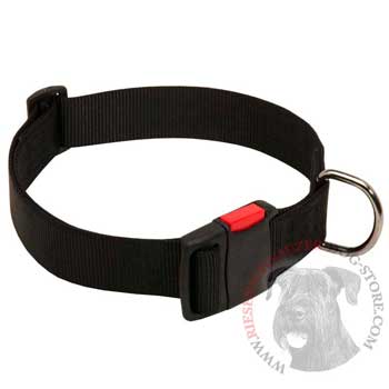 Nylon Riesenschnauzer Collar for Training and Waling