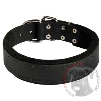 Adjustable Riesenschnauzer Collar