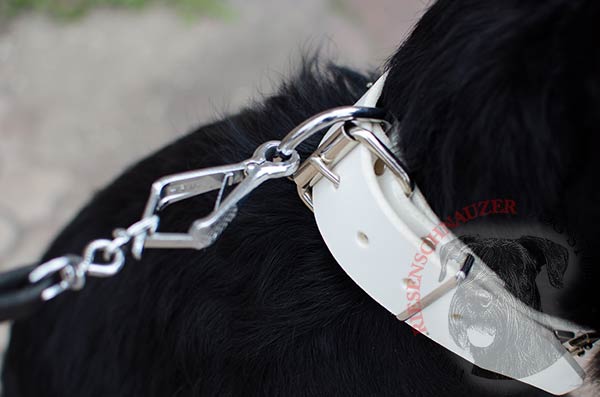 Selected leather collar with nickel-plated buckle and D-ring