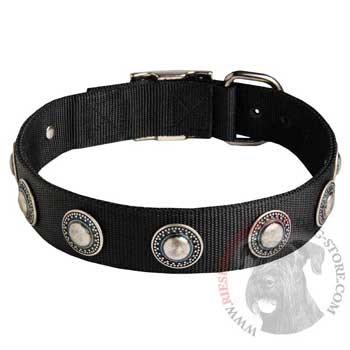 Riesenschnauzer Dog Nylon Collar Awesome Design