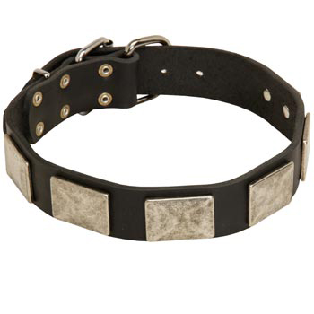 Walking Leather Riesenschnauzer Collar