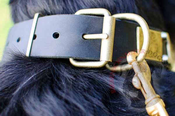 Brass D-ring for Fast Snap Hook Attachment