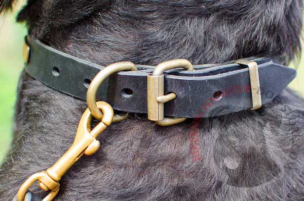 Steel old brass plated D-ring for Easy Dog Leash Control