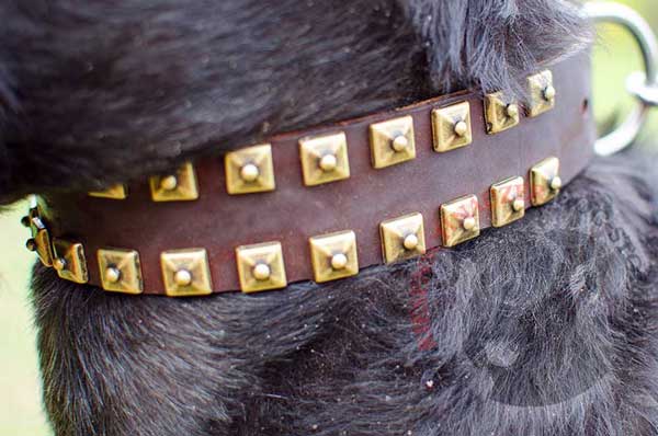 Brass Studs Resistant to Rust and Corrosion