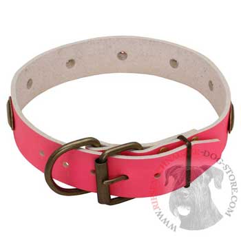 Fashion Pink Leather Riesenschnauzer Collar