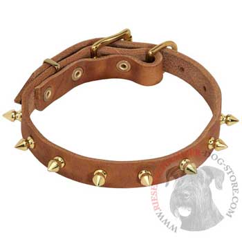 Designer Leather Collar for Riesenschnauzer