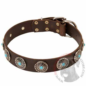 Leather Riesenschnauzer Collar