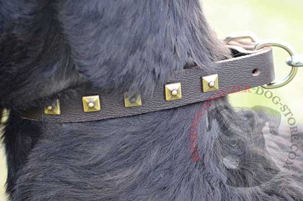D-ring connected with canine leash as reliable as possible