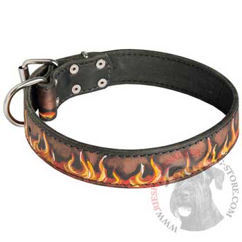 Leather Riesenschnauzer Collar Designer for Dog Walking and Training