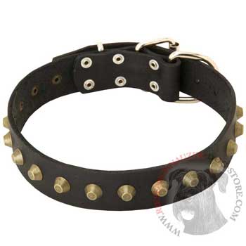 Leather Riesenschnauzer Collar