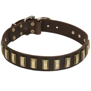 Leather Riesenschnauzer Collar Designer for Walking in Style