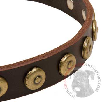 Riesenschnauzer Collar with Stylish Circles