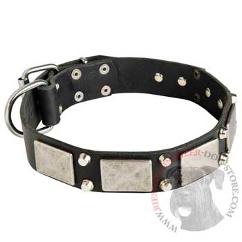 Studded Leather Riesenschnauzer Collar