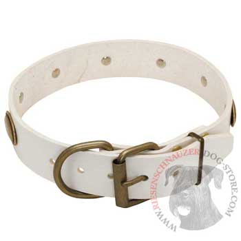 White Leather Dog Collar for Riesenschnauzer Stylish Walks