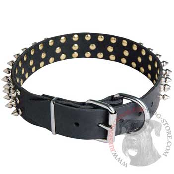 Spiked Buckle Collar for Riesenschnauzer