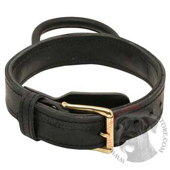 Riesenschnauzer Collar Comfortable with Fur Saving Plate for Easy Dog Training