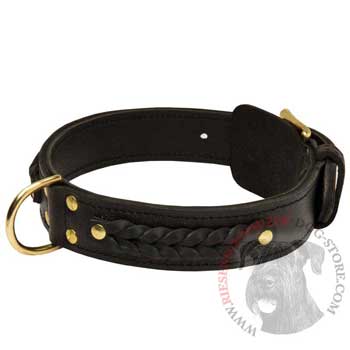 Braided Riesenschnauzer Leather Dog Collar 