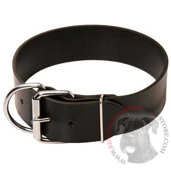 Riesenschnauzer Leather Collar of Extra Width