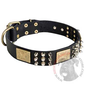 Stylish Wide Leather Dog Collar for Riesenschnauzer Walking