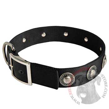 Riesenschnauzer Dog Nylon Collar Steel Nickel Plated Conchos