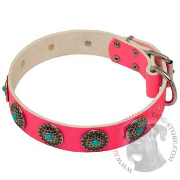 Safe Walking Leather   Riesenschnauzer Сollar Pink Studded