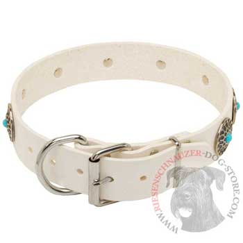Leather   Riesenschnauzer Collar White Fancy for Dog Training, Walking