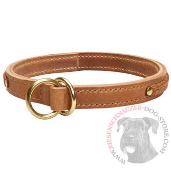  2 Ply Leather Choke Collar for Riesenschnauzer