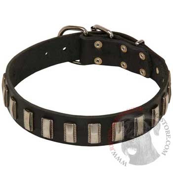 Walking Leather Dog Collar for Riesenschnauzer