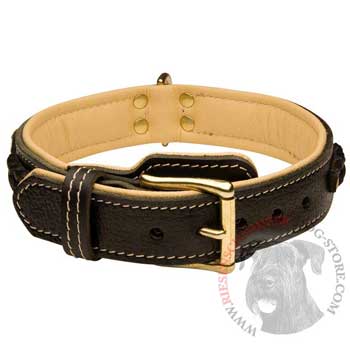 Riesenschnauzer Decorated  Leather Dog Collar