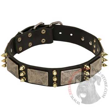 Vintage Leather Collar for Riesenschnauzer