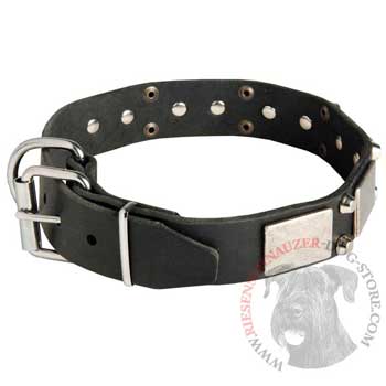Leather Buckle Collar for Riesenschnauzer Walking