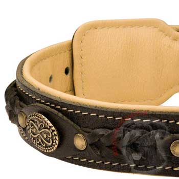  Leather Walking Fashion Collar for Riesenschnauzer