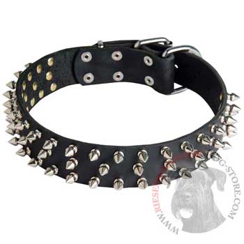 Leather Riesenschnauzer Collar with Spikes