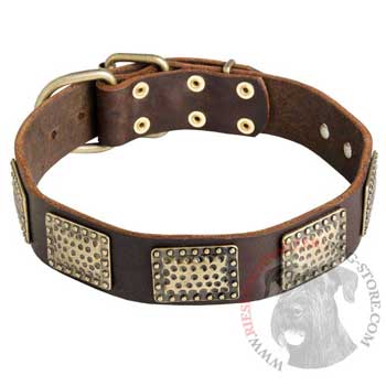 Leather Dog Collar with Vintage Plates