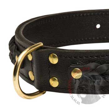 Riesenschnauzer Wide Leather Collar with D-ring