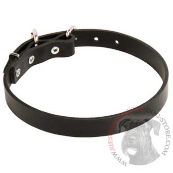 Leather Dog Collar for Riesenschnauzer Training